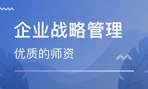 南京企業戰略管理