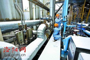 中石化洛陽分公司 雪后忙巡檢 確保設備安全運行